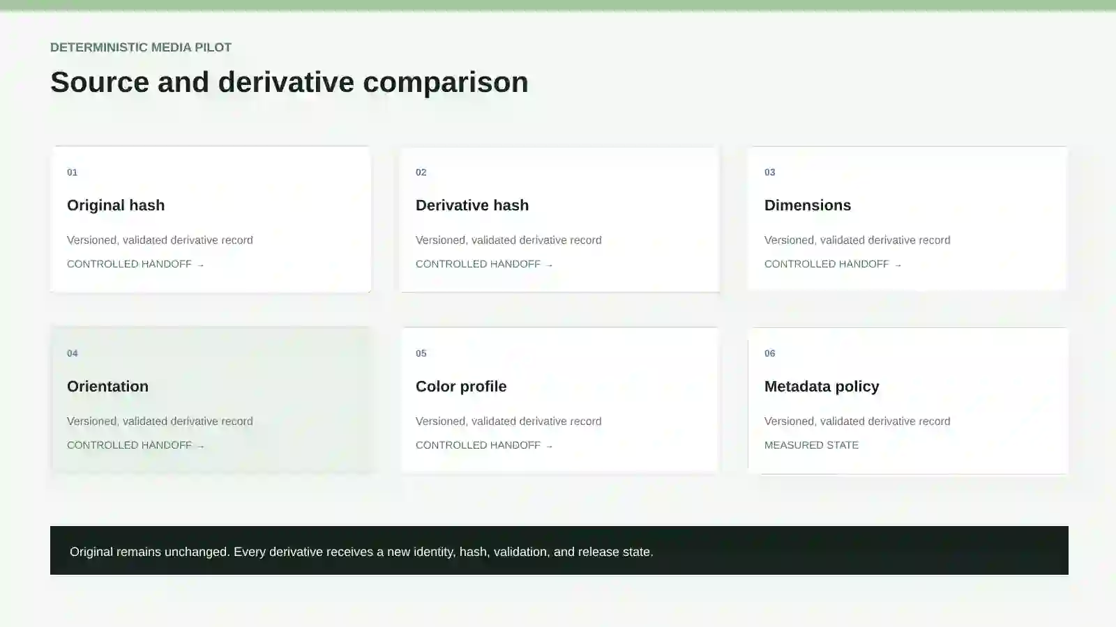 Source and derivative comparison showing hashes, dimensions, orientation, color, and metadata policy.